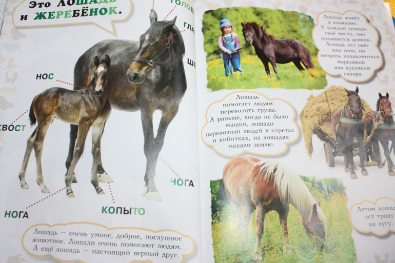 Наша библиотечка от 1 до 2