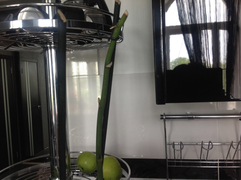 Знающие подскажите пожалуйста.