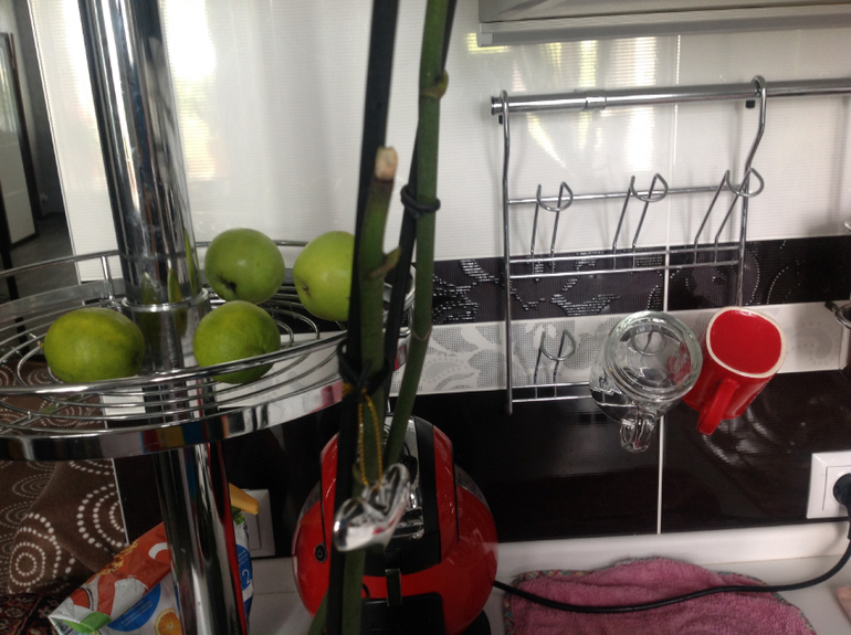 Знающие подскажите пожалуйста.