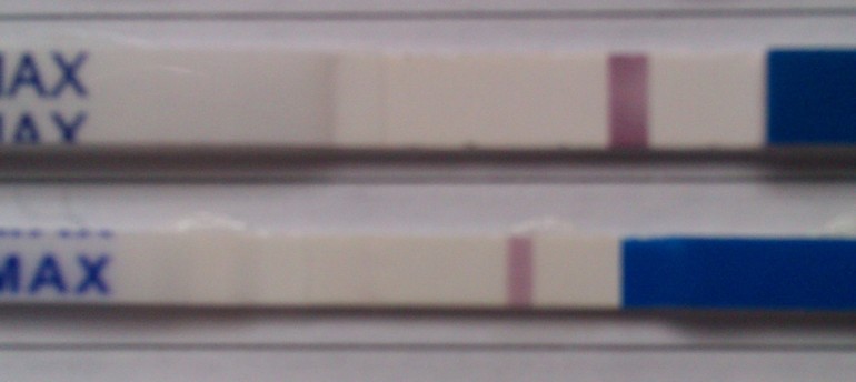 Есть ли шансы? Посмотрите тест пжл!