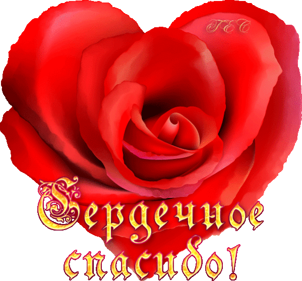 Запоздалое спасибо......