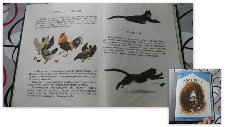 ТН Курочка Ряба. День 4 и 5.