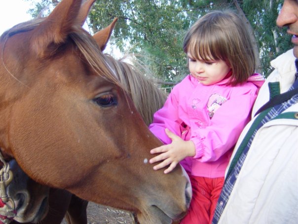 Верховая езда