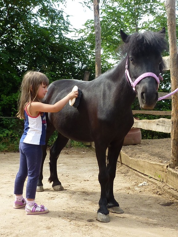 Верховая езда