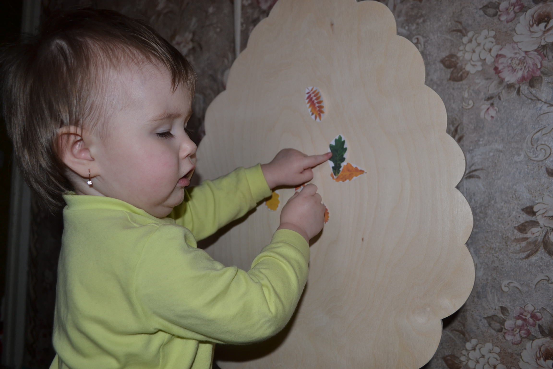 ТН "Деревья" день 1 - лиственные деревья