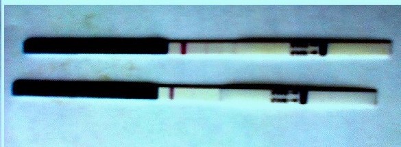 кажись ярчаем!