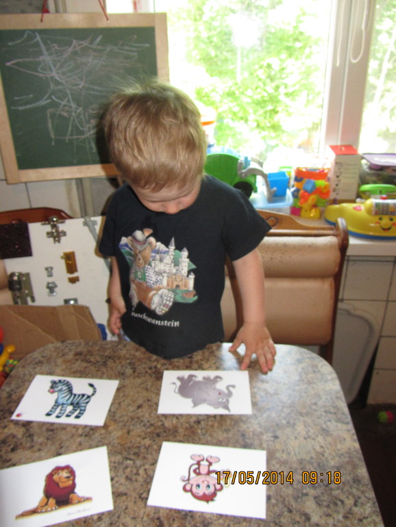 Как мы занимались ("Животные Африки")