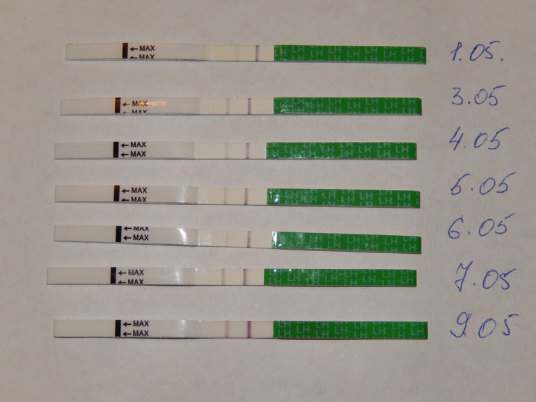 Помогите разобраться с тестами!!!