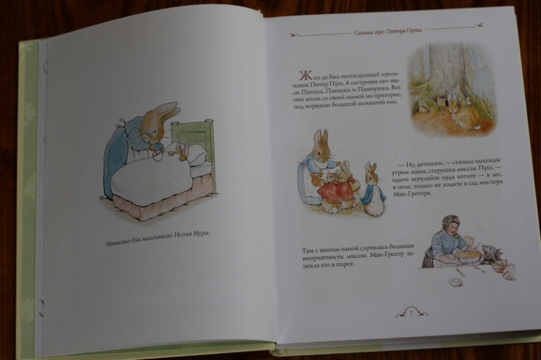 Теперь и у меня есть Кролик