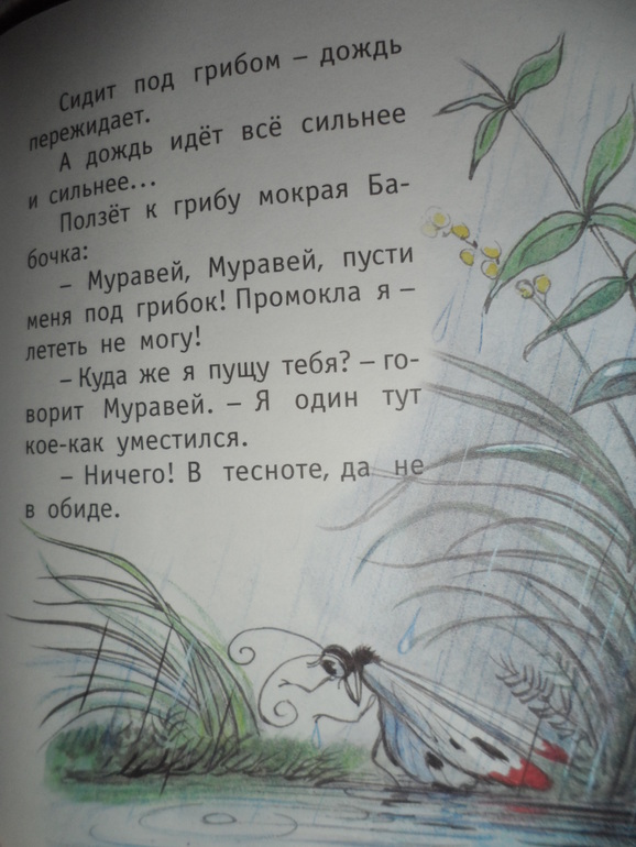 Прогулка Бабочки-красавицы 2.5