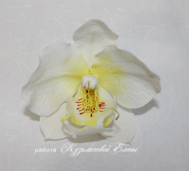 Первый самостоятельный цветок