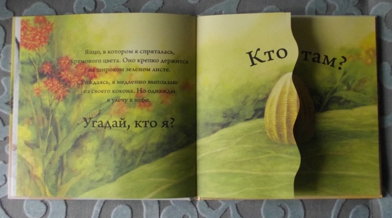 Кто спрятался? Иллюстрации Гая Троутона.