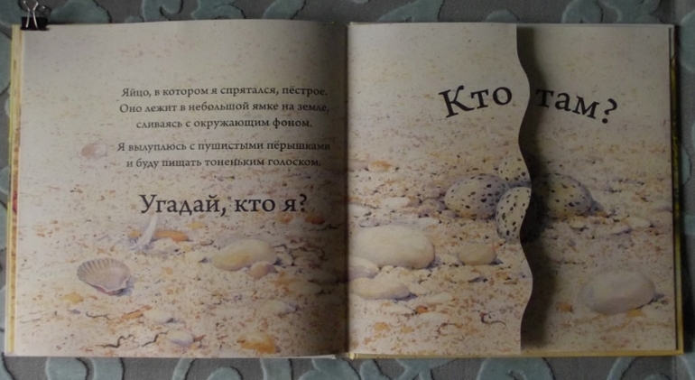 Кто спрятался? Иллюстрации Гая Троутона.