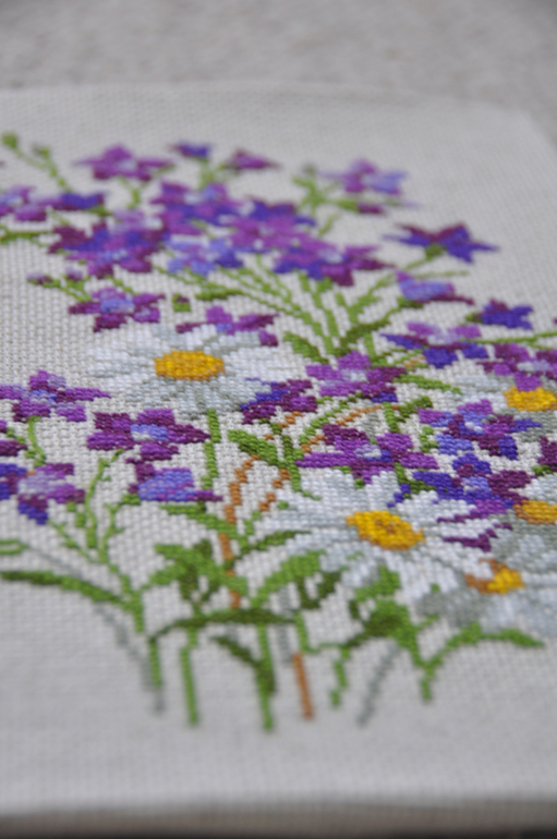 Колокольчики и ромашки