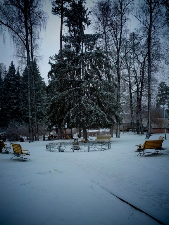 фотоотчеты новогодние, санаторные