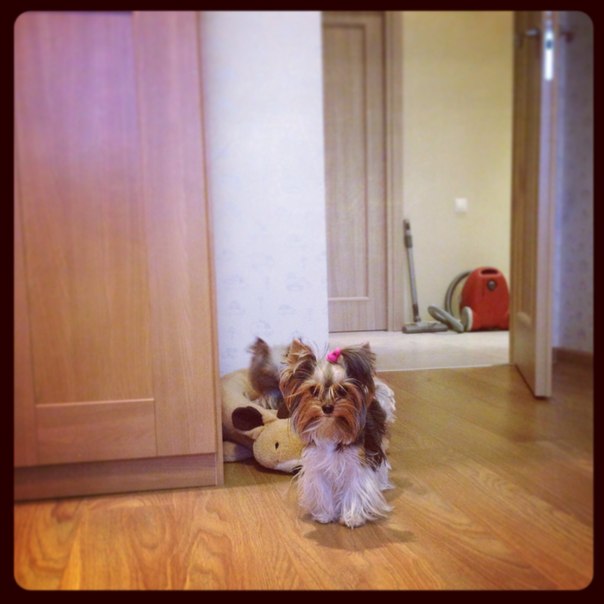 Все готовы)))