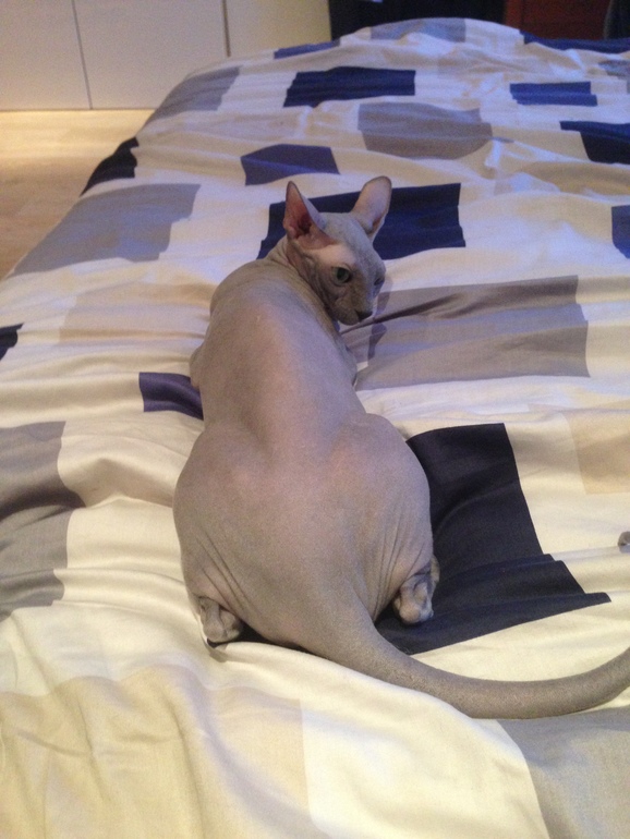 Животинка моя любимая!!)))