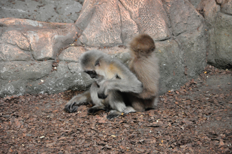 Сходили в океанариум в РИО