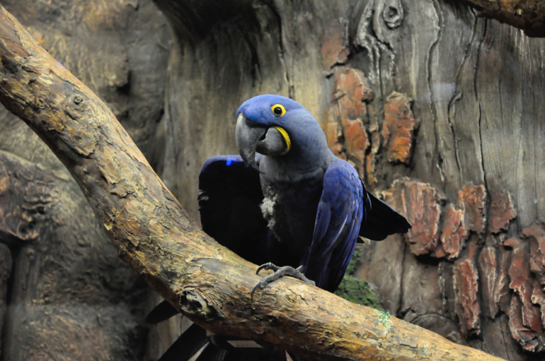 Сходили в океанариум в РИО