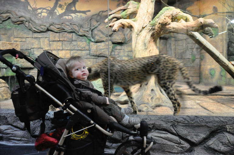 Сходили в океанариум в РИО