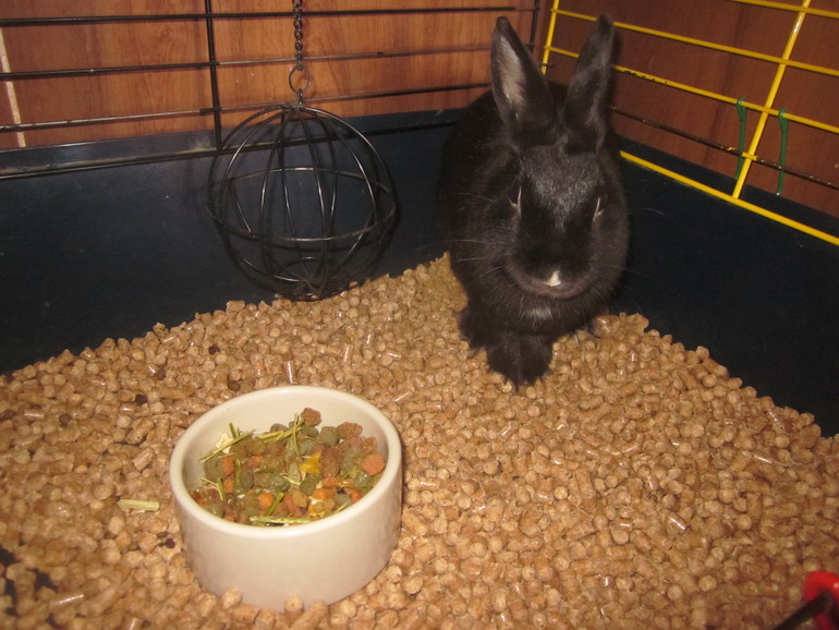 Взлёт №69 День 28