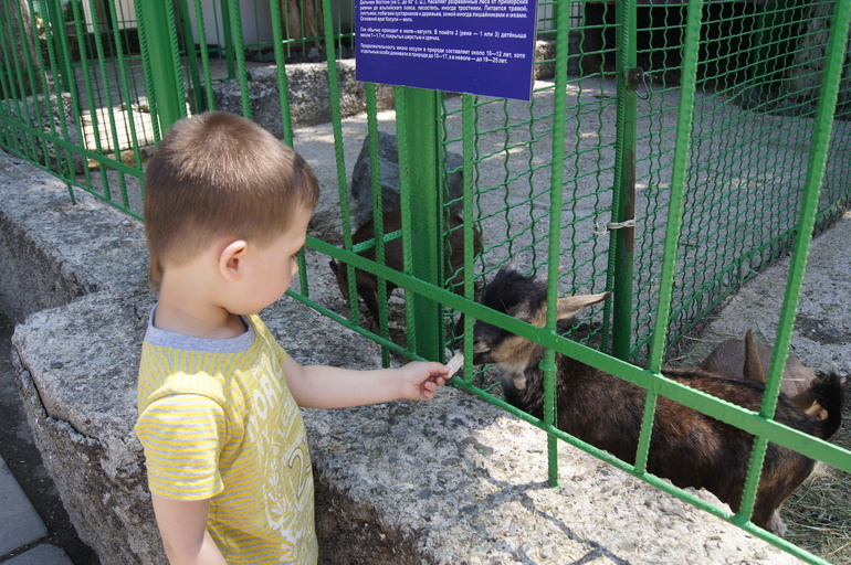 Крым 2014.Зоопарк,Детский парк.
