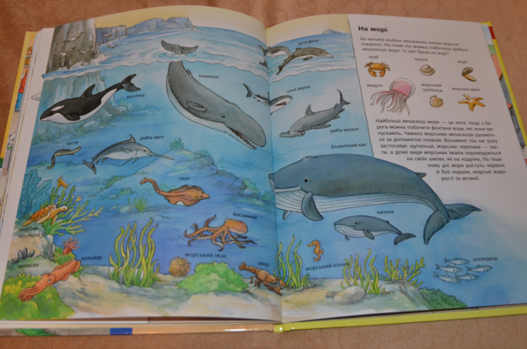 Бюджетные смотрелки - много фото