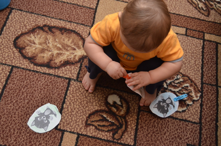 Отчет по ФМ "Домашние любимцы" - День 2 "Котята"