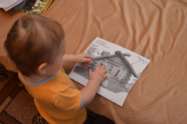 Отчет по ФМ "Домашние любимцы" - День 2 "Котята"