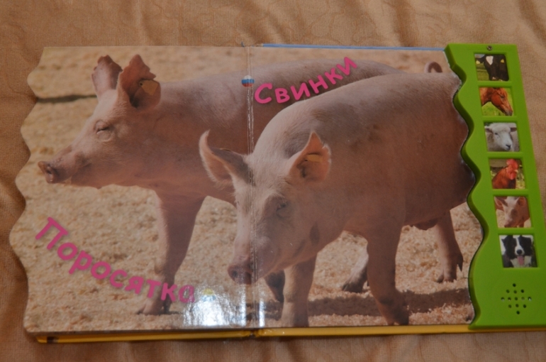 Наша библиотека в 1 год и 1 месяц