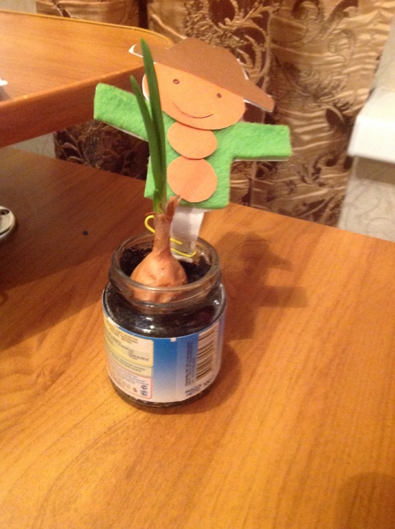 ФМ "Овощи". День пятый. Картофель, лук, чеснок и капуста.