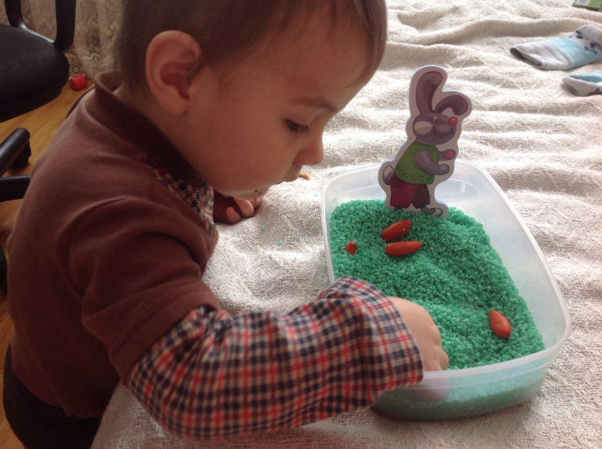 ТН "Лесные друзья". День третий. Заяц.