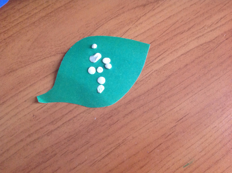 ФМ "Весенний переполох". День пятый. Букашки.