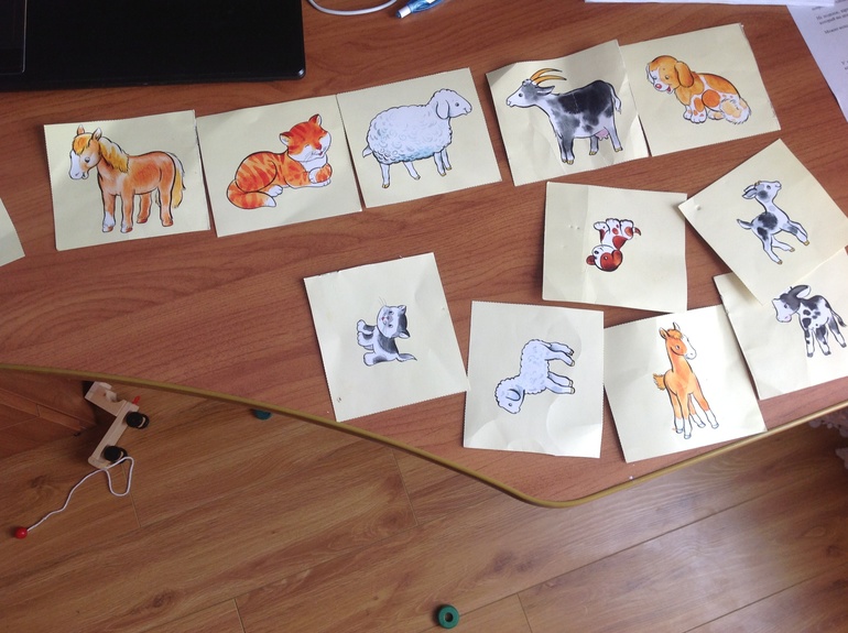 ФМ "Домашние животные". День пятый. Коза, овца, свинья.