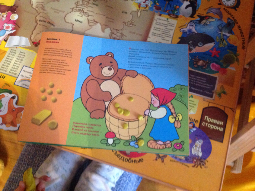 ТН "Лесные друзья". День второй. Медведь.