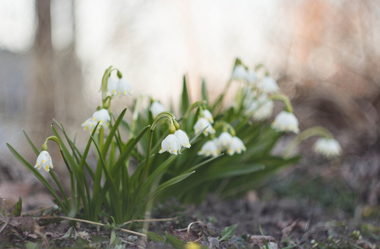 Весна, закат....