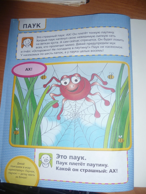 ТН Насекомые