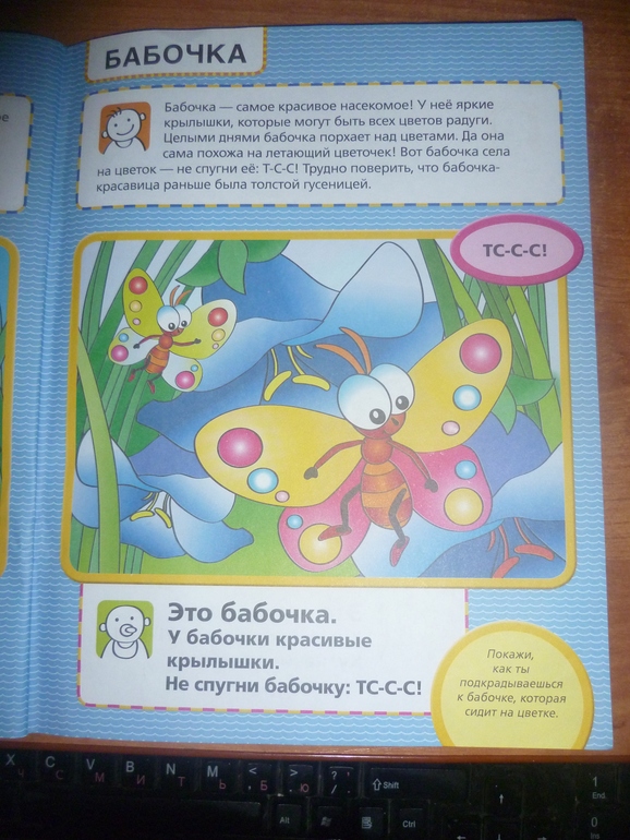 ТН Насекомые