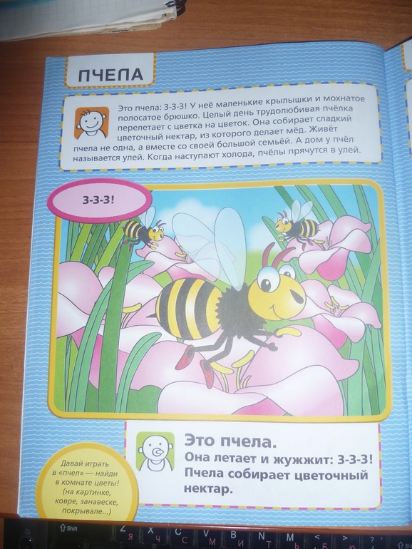 ТН Насекомые