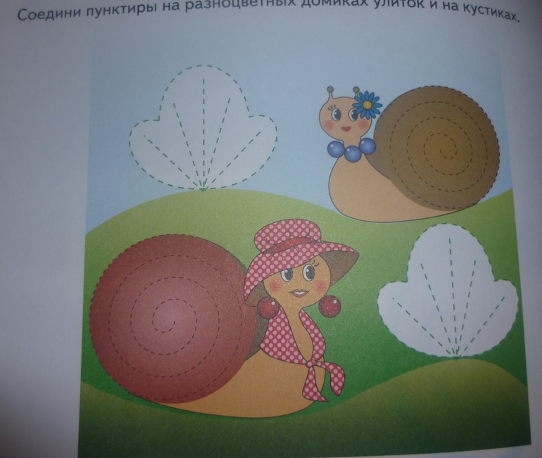 ТН Насекомые