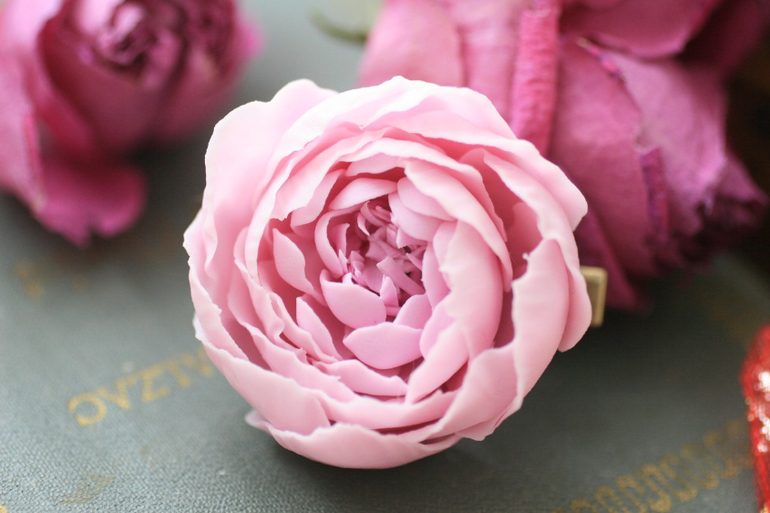 Зажимы для волос, венки, заколки из полимерной глины