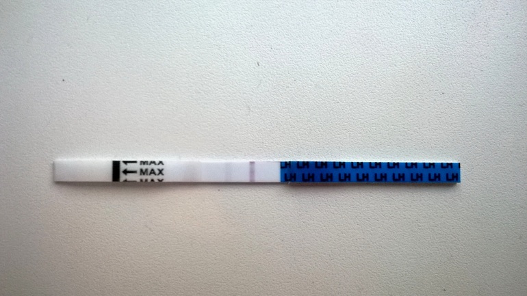 Тестик на овульку