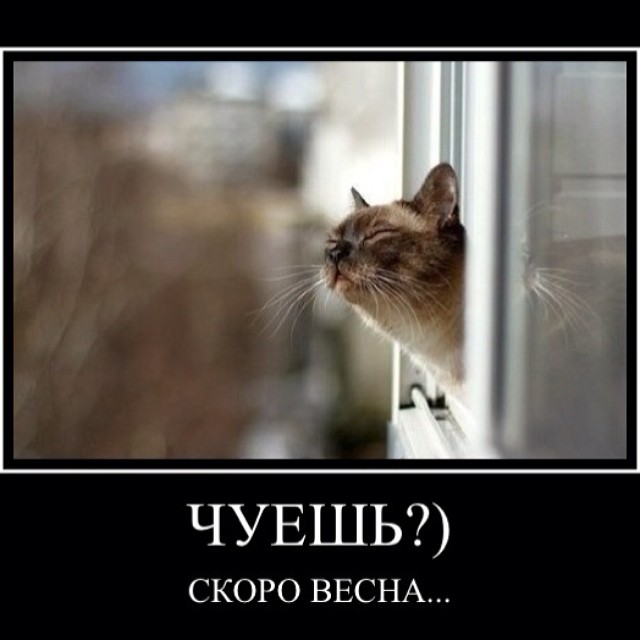 Весна????