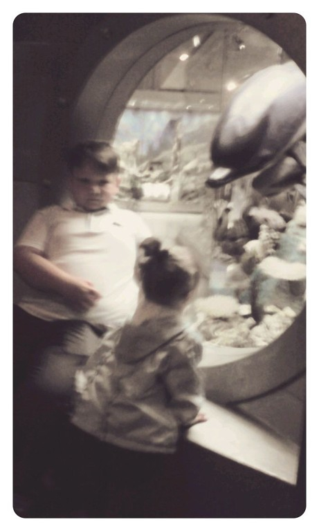 Дарвинский музей))))