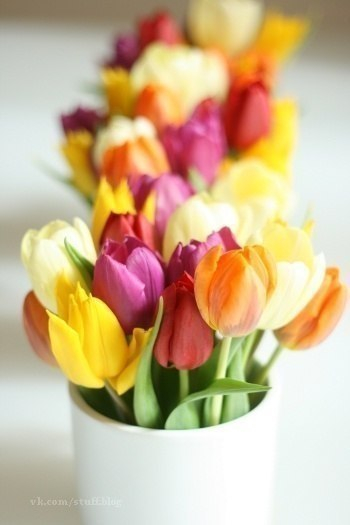 Мои любимые цветы))))