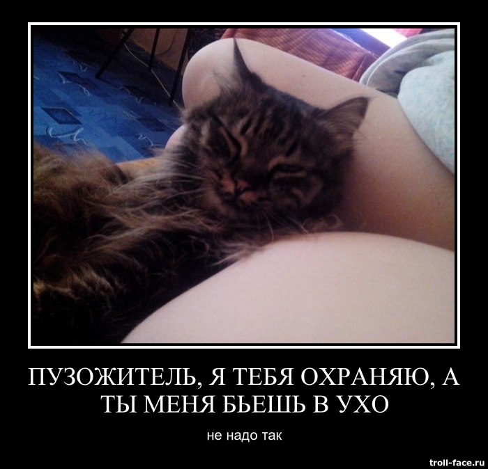 Отдыхаем с кошкой-)