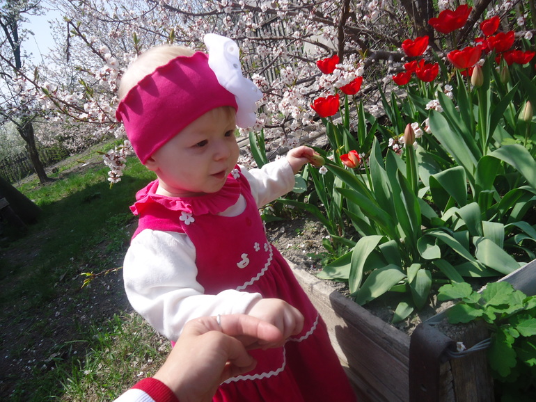 Вот мы теперь в каком домике живем)))