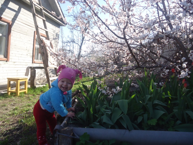 Вот мы теперь в каком домике живем)))