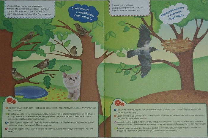 "Пальчиковые занятия. 0+" (Лена Данилова)