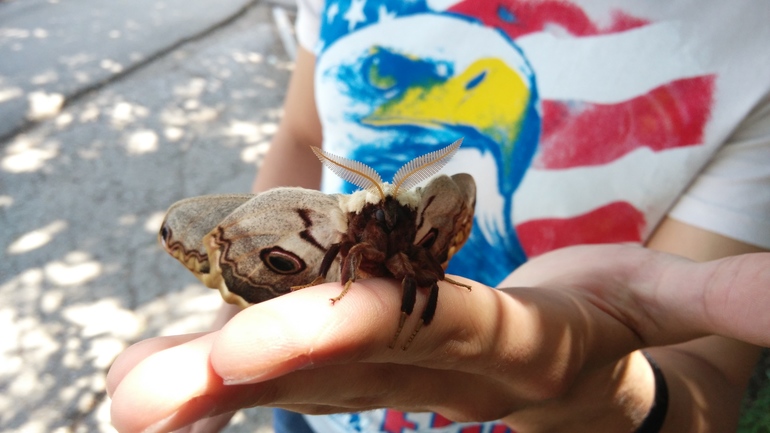 Страшный зверь!